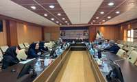 کمیته ترویج زایمان طبیعی در بیمارستان های خصوصی با حضور رییس دانشگاه برگزار شد  