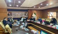 سه کمیسیون ماده 11، ماده 20 معاونت درمان و ماده 20 معاونت غذا و دارو با حضور رئیس دانشگاه  برگزار شد