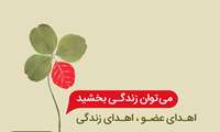 فرهنگ اهدای عضو در البرز/ نجات جان بیش از 300 نفر با اهدای عضو 