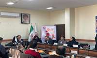 کارگاه آموزشی منطقه ای پیشگیری و کنترل ایدز با حضور رئیس دانشگاه در سازمان بهزیستی  برگزار شد 