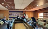  کمیسیون های ماده 11، ماده 20 معاونت درمان و ماده 20 معاونت غذا و دارو با حضور رییس دانشگاه برگزار شد