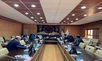 نشست بررسی سامانه ملی باروری سالم با حضور رئیس دانشگاه برگزار شد 
