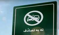 نه به تصادف! از شعار تا واقعیت