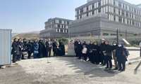 کاشت نهال به نام فرزندان کارکنان دانشگاه در هفته جوانی جمعیت در پردیس دانشگاه علوم پزشکی البرز 