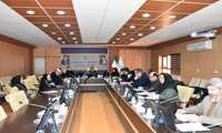 کمیته درآمد اختصاصی دانشگاه با حضور دکتر صیادی تشکیل شد 