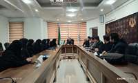 صیانت از پایداری زنجیره تأمین دارو/ بازدید نظارتی رئیس دانشگاه علوم پزشکی البرز از معاونت غذا و دارو